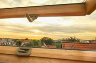 rated Ravenscar roof window companies